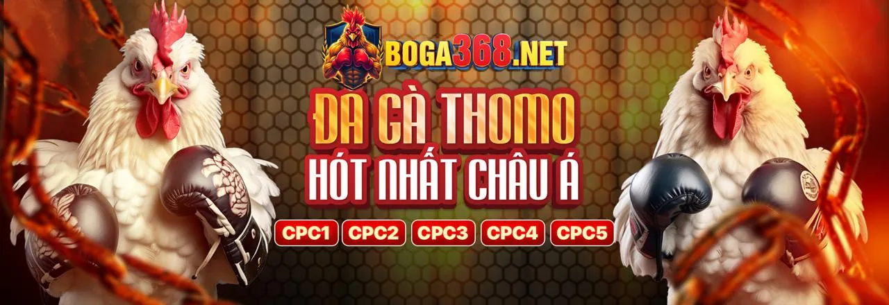 Lợi ích khi hợp tác với 79king 01com